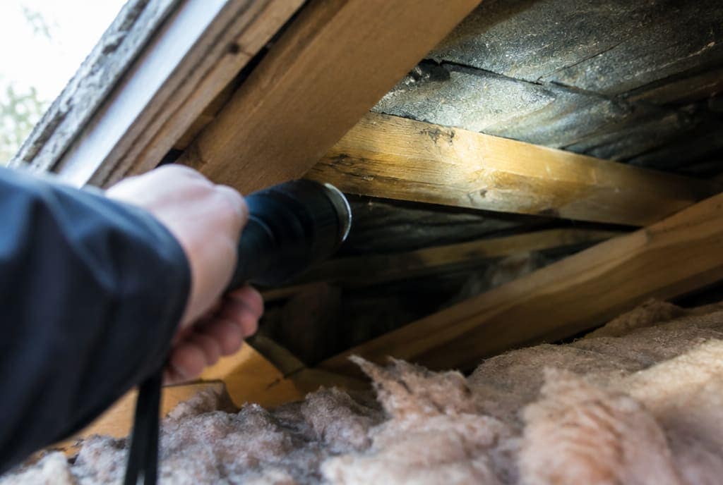 Stock photo related to pest-control